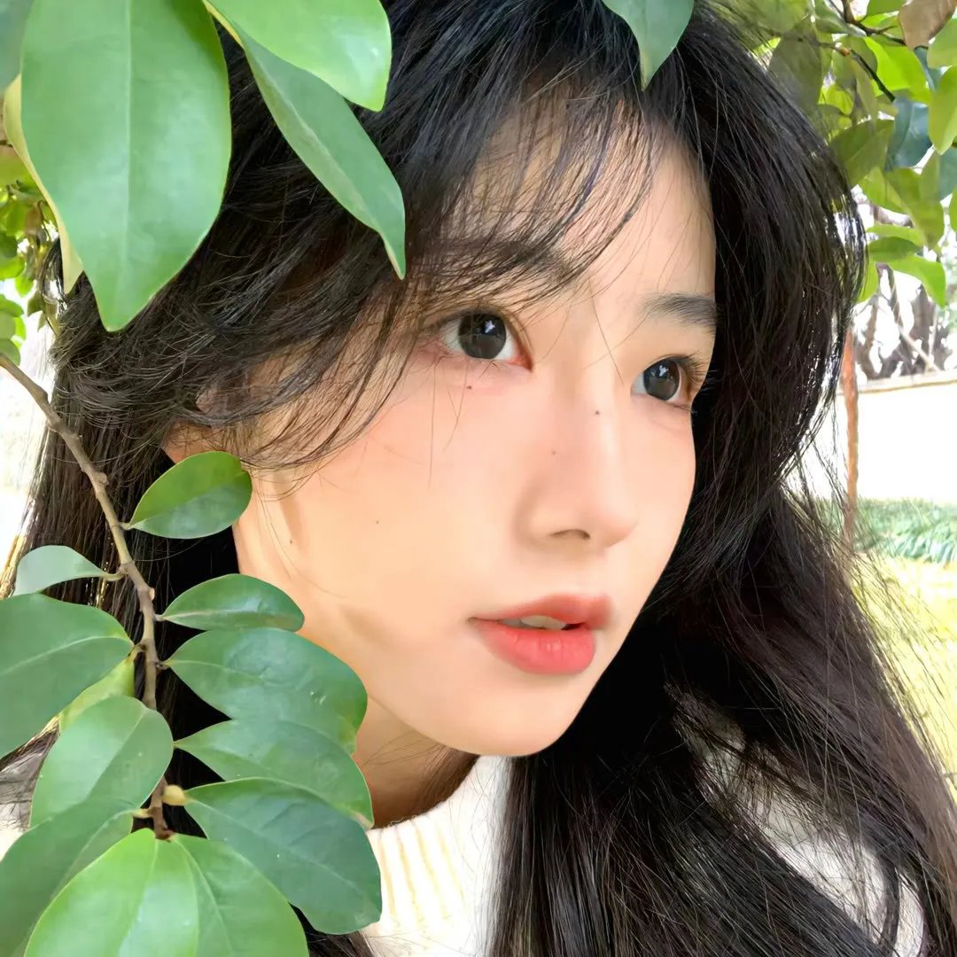 春风沉醉的夜晚